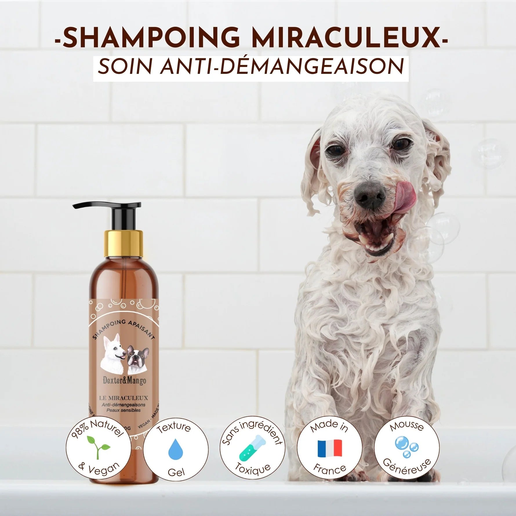 Shampoing anti démangeaison chien liquide - Dexter&Mango