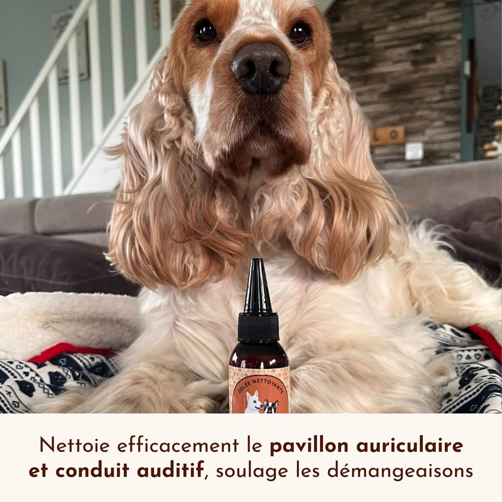 Nettoyant oreille chien - Dexter&Mango