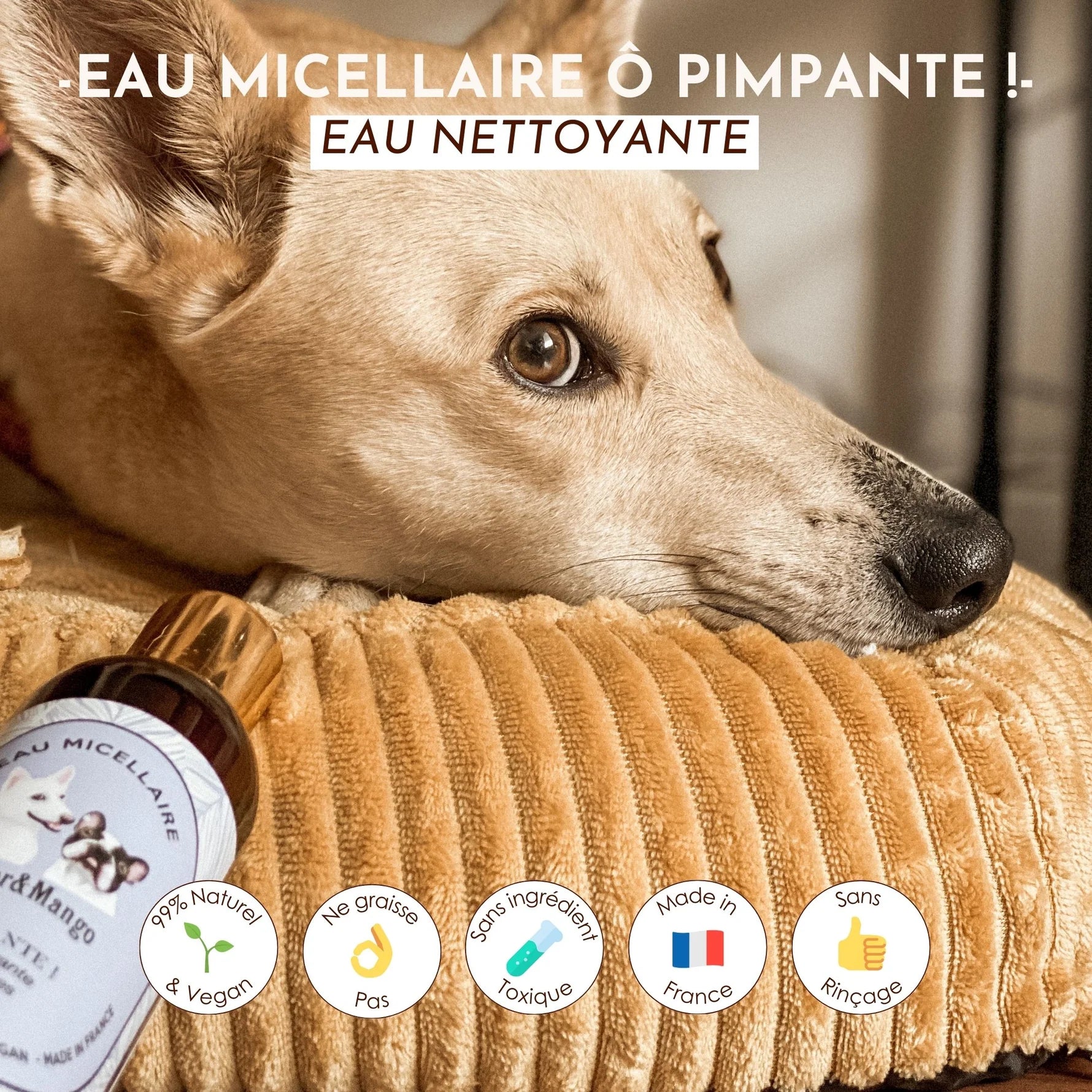 Eau micellaire pour chien nettoyante - Dexter&Mango