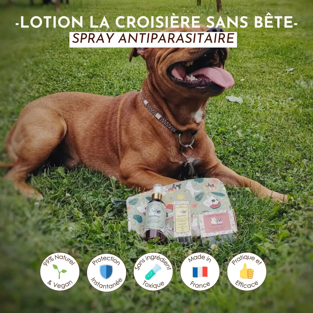 Lotion antiparasitaire - Dexter&Mango