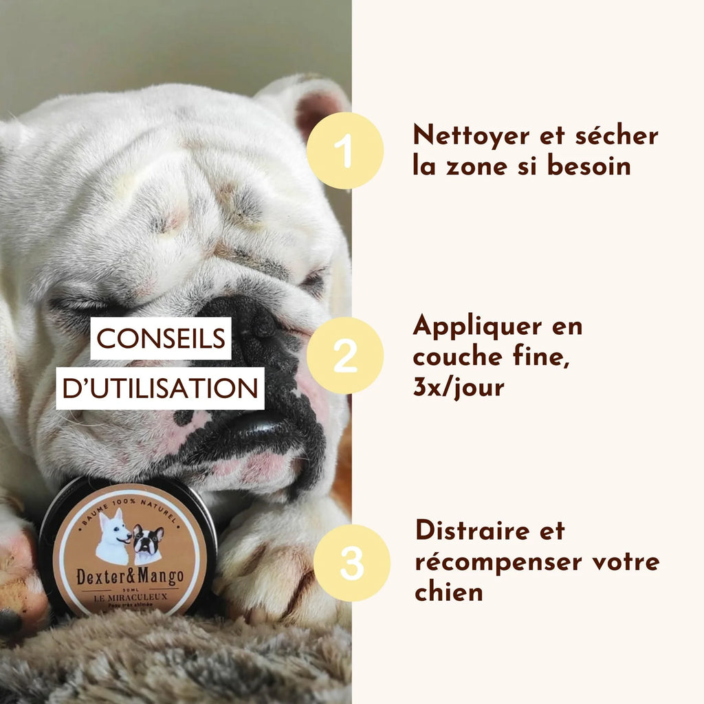 Baume anti démangeaison pour chien - Dexter&Mango