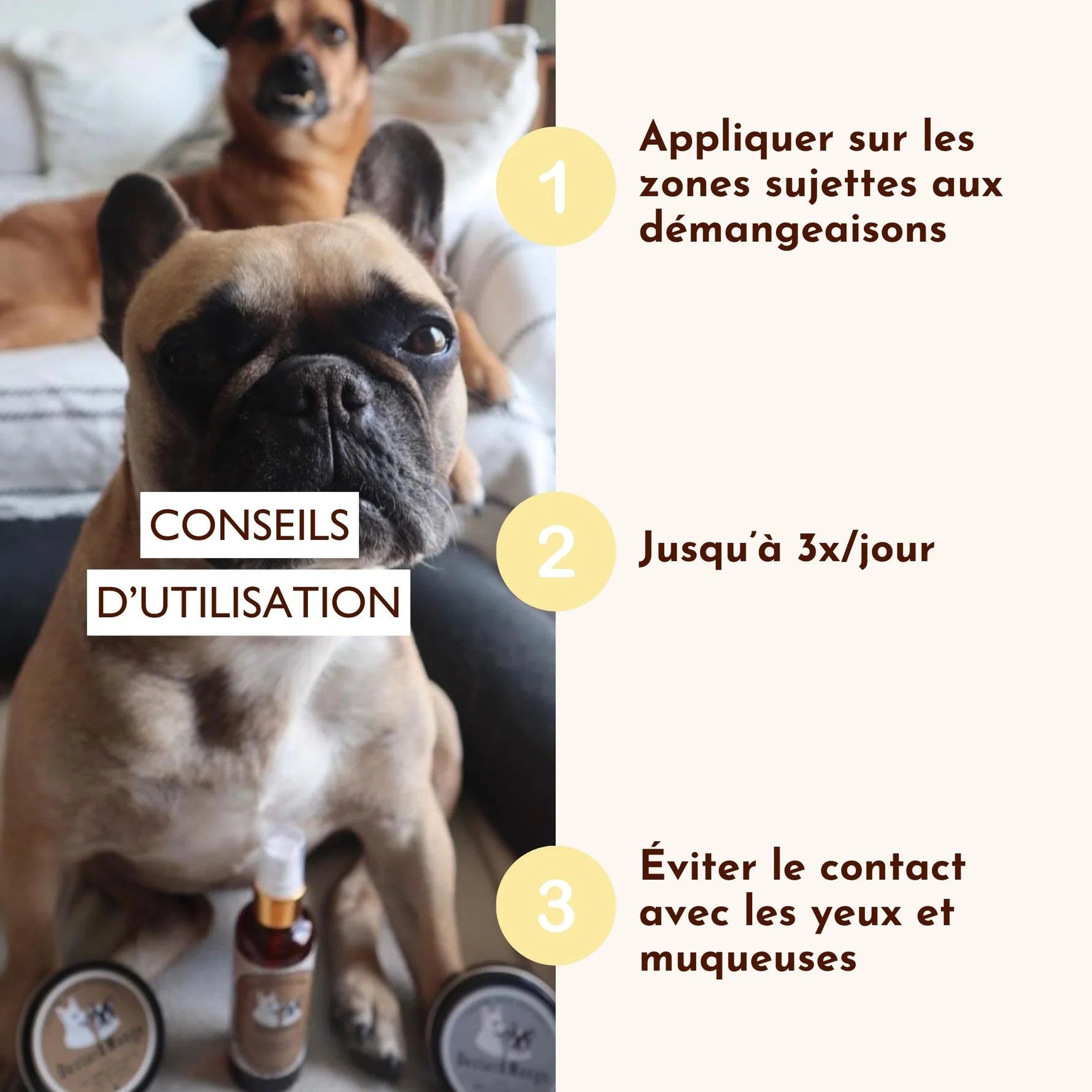 Lotion anti démangeaison chien - Dexter&Mango
