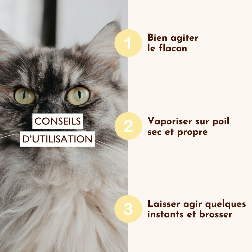 Lotion pour pelage chien et chat - Dexter&Mango