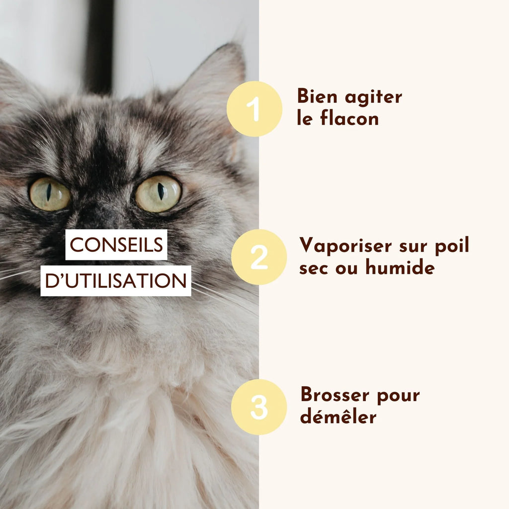 Démélant chien et chat - Dexter&Mango
