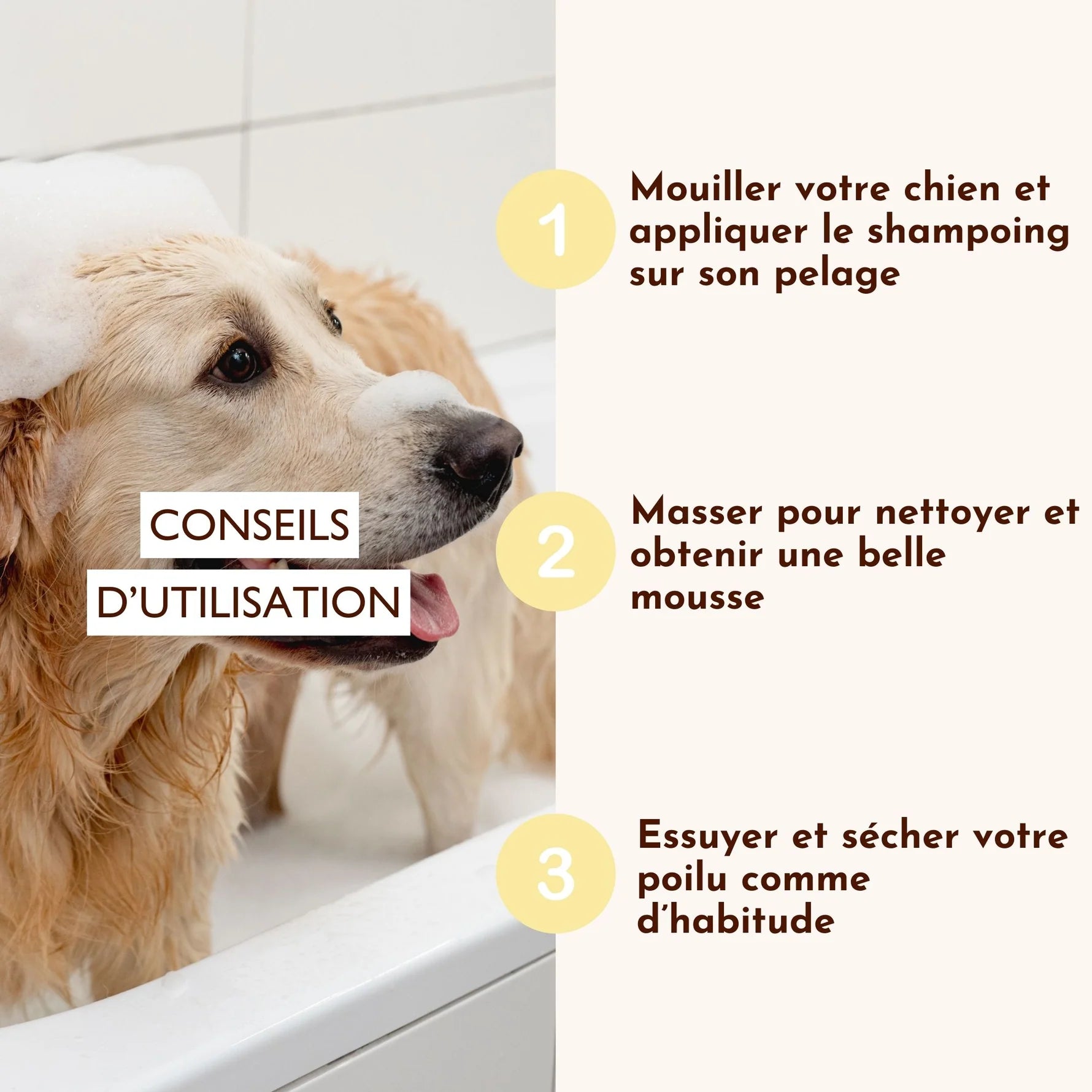 Shampoing anti démangeaison chien liquide - Dexter&Mango