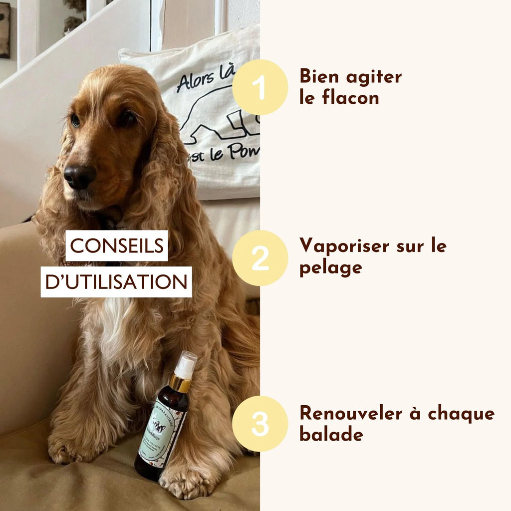 Lotion antiparasitaire - Dexter&Mango