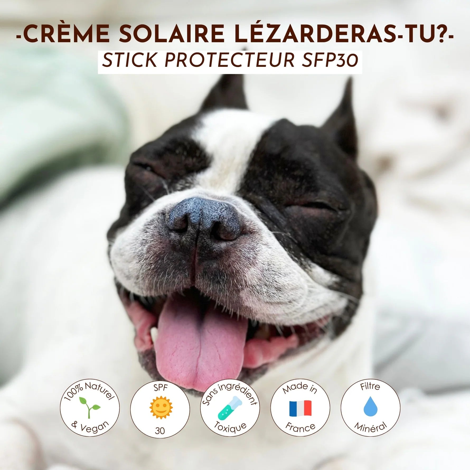 Crème solaire chien et chat SPF30 - Dexter&Mango