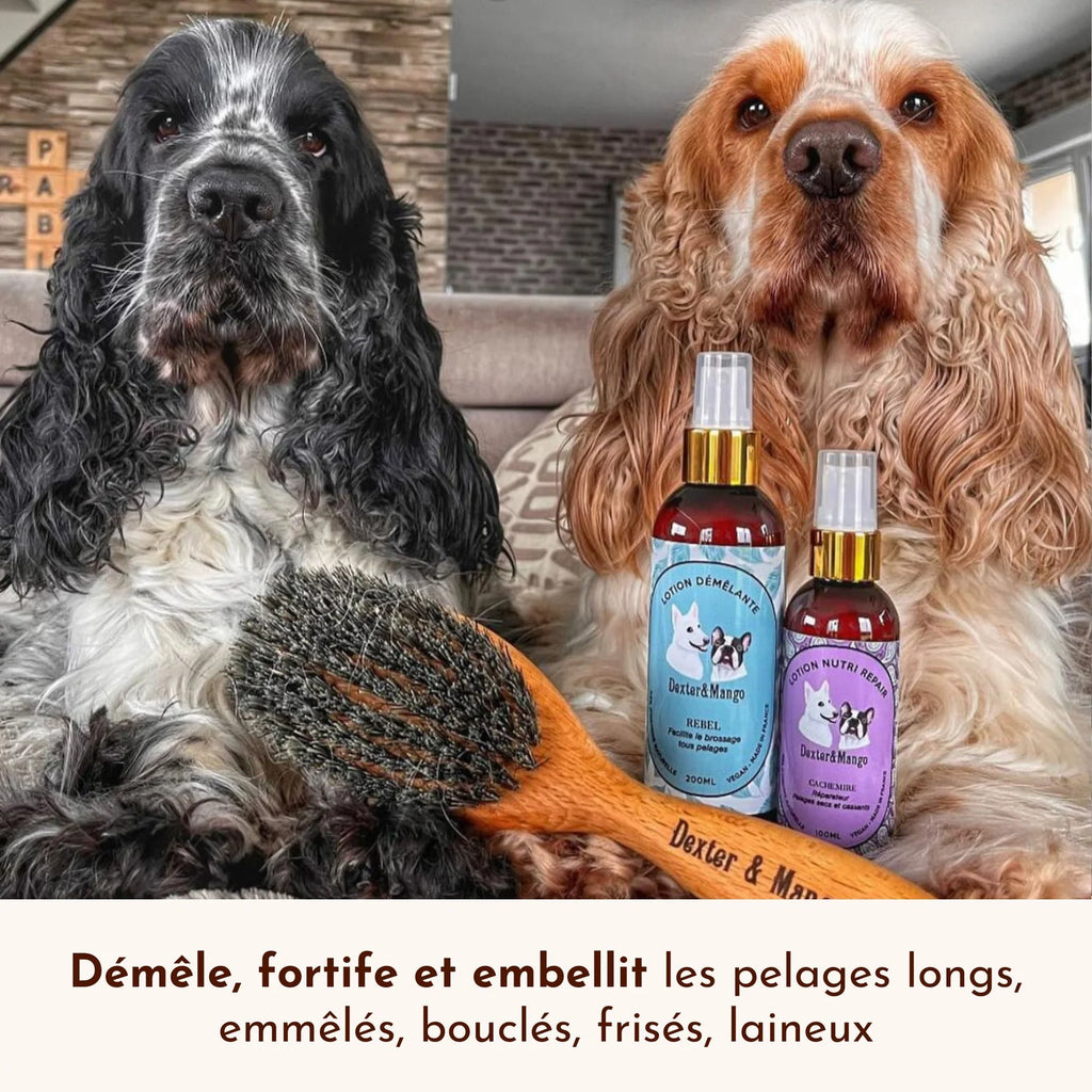 Démélant chien et chat - Dexter&Mango