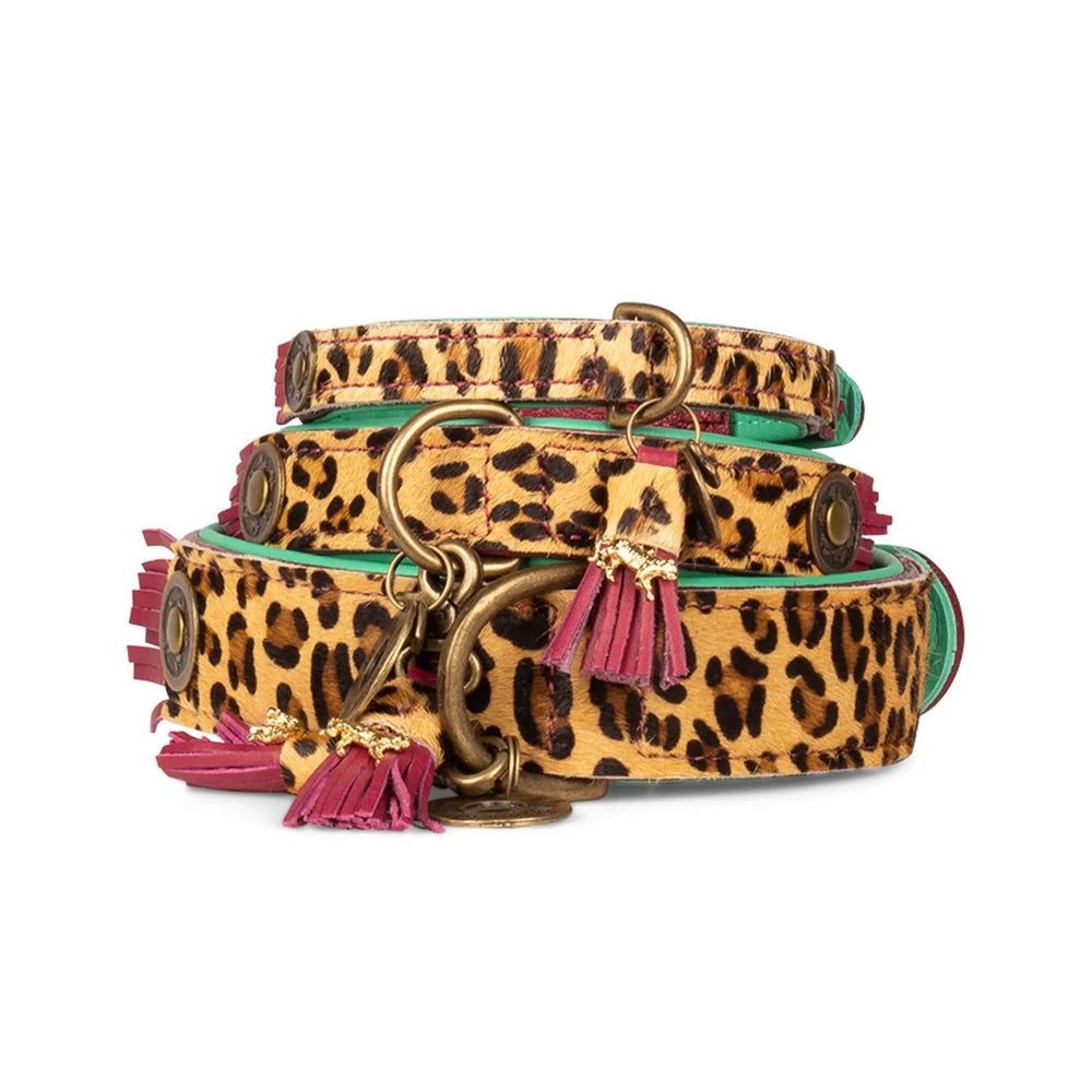 Collier pour chien Lou Lou - Dog With a Mission