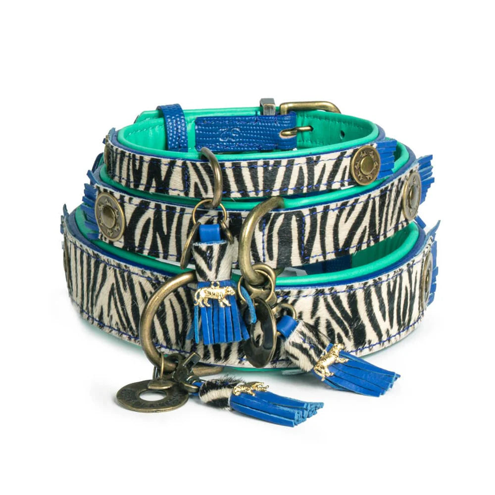 Collier pour chien Dandy - Dog With a Mission