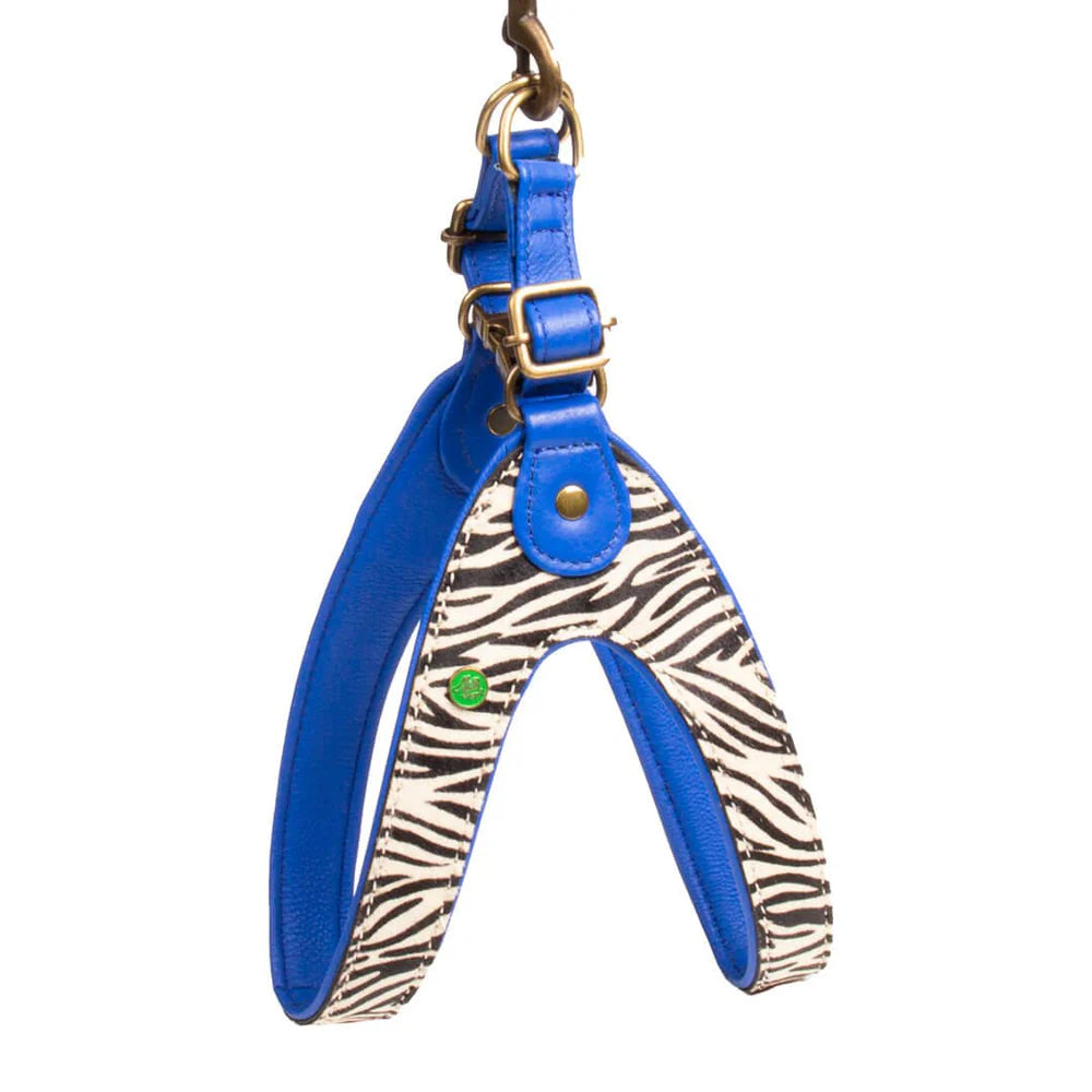 Harnais pour chien Dandy Taille 3 (XS) - Dog With a Mission