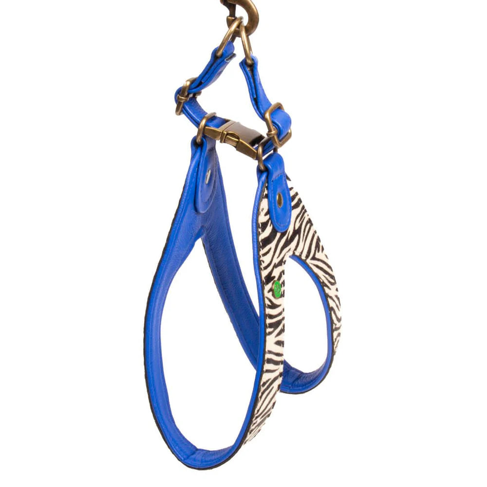 Harnais pour chien Dandy Taille 3 (XS) - Dog With a Mission