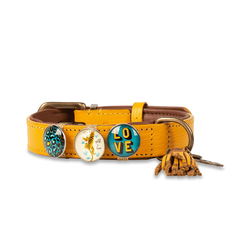 Collier New York Yankees - Dog With a Mission