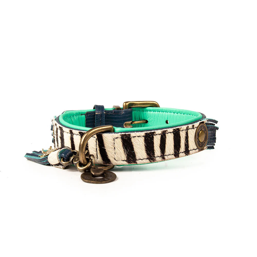Collier pour chien Chicque Boutique Zara XXXS - Dog With a Mission