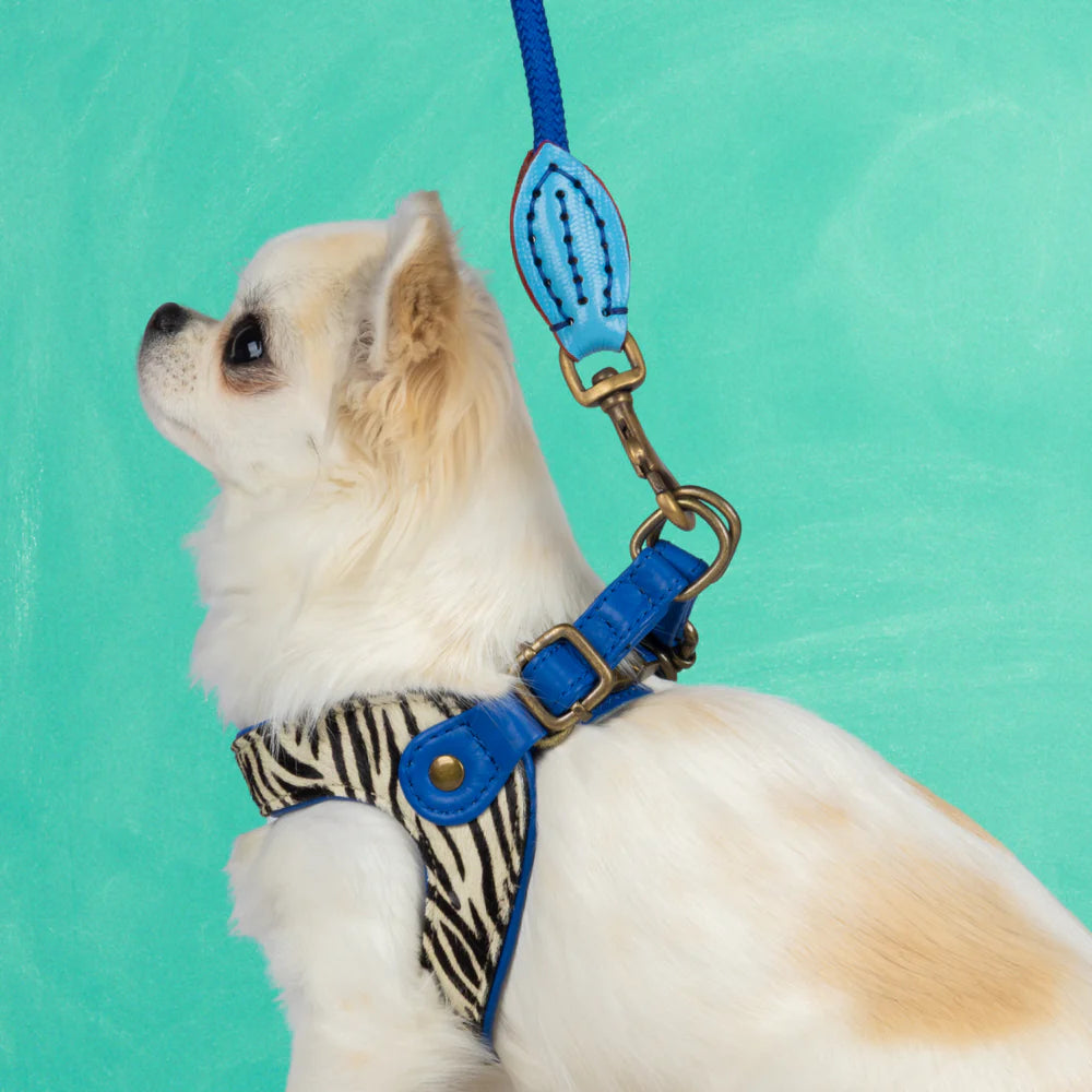 Harnais pour chien Dandy Taille 3 (XS) - Dog With a Mission