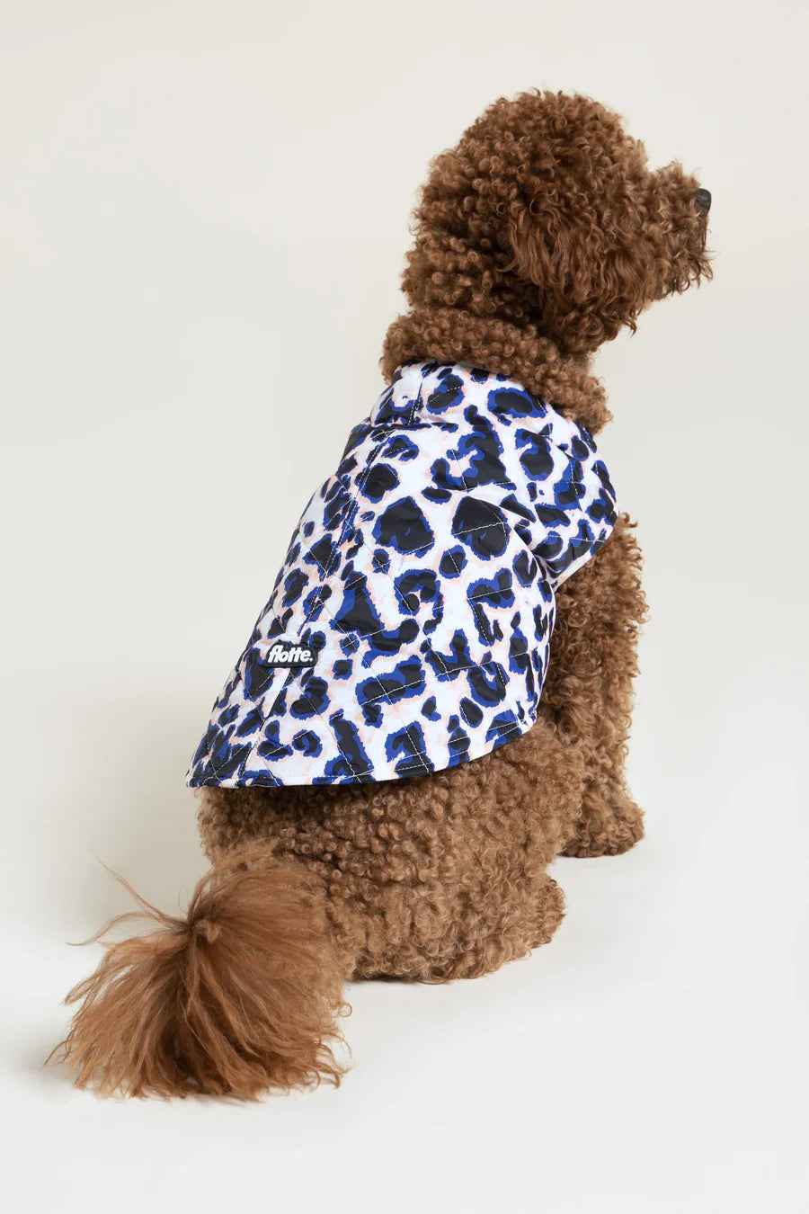 Doudoune pour chien - Flotte.