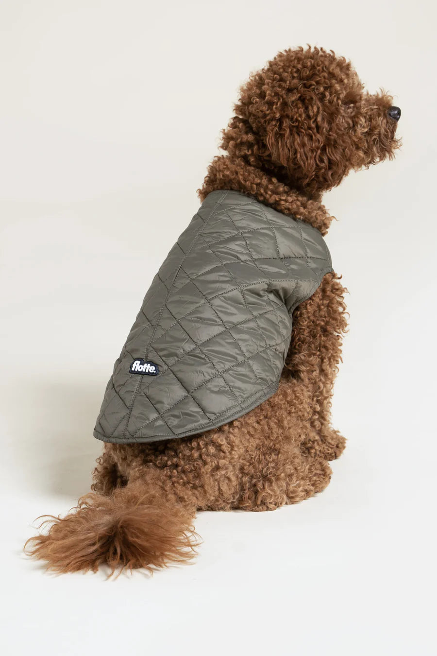 Doudoune pour chien - Flotte.