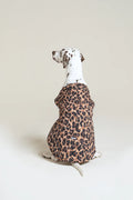 Doudoune pour chien - Flotte.