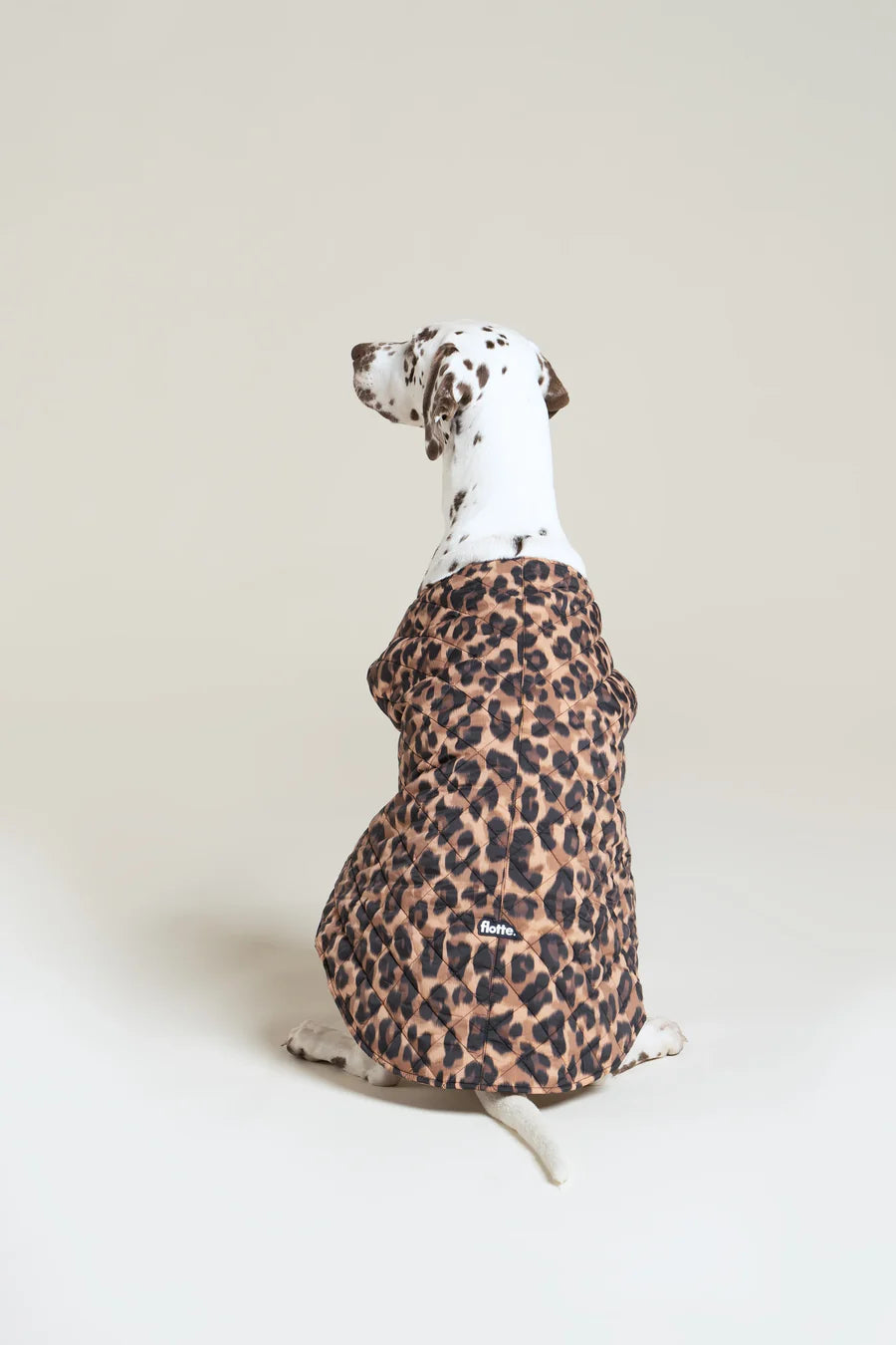 Doudoune pour chien - Flotte.