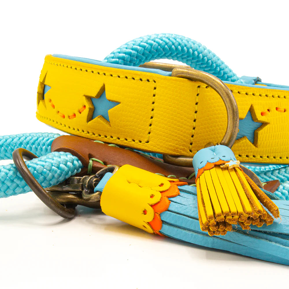 Collier pour chien Urban Blue Star XL - Dog With a Mission