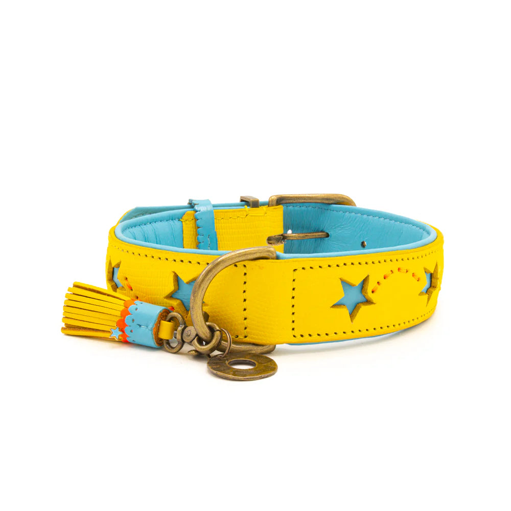Collier pour chien Urban Blue Star XL - Dog With a Mission