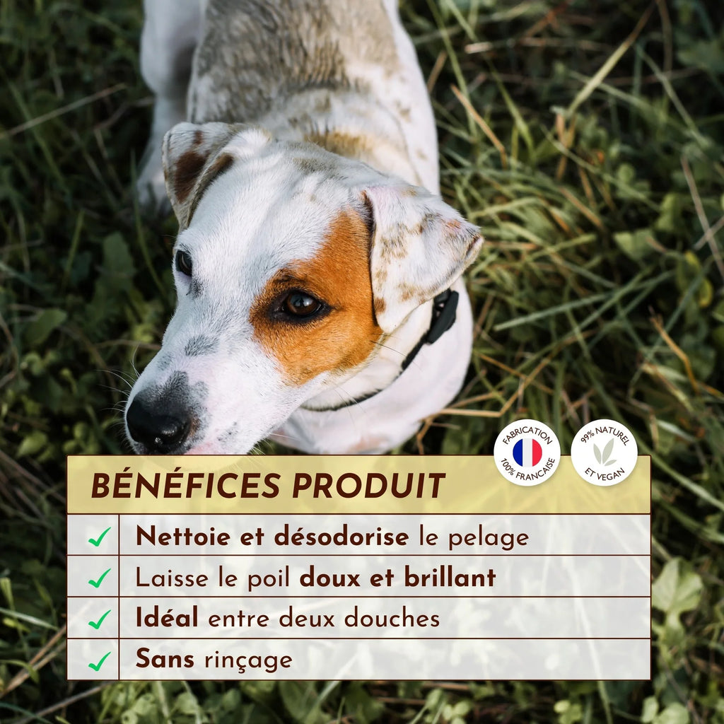 Eau micellaire pour chien nettoyante - Dexter&Mango