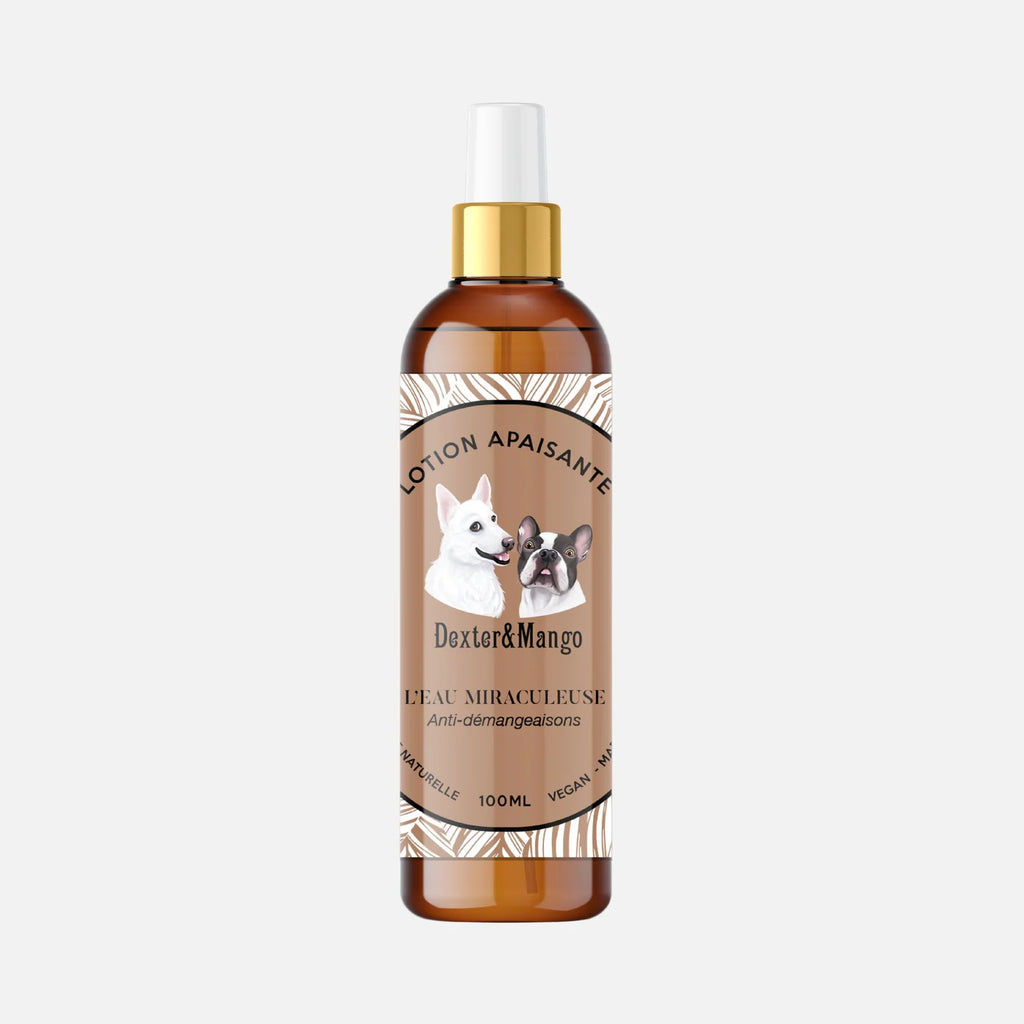 Lotion anti démangeaison chien - Dexter&Mango