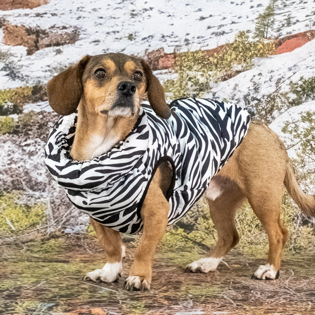 Gilet matelassé sauvage (S) - Puppia