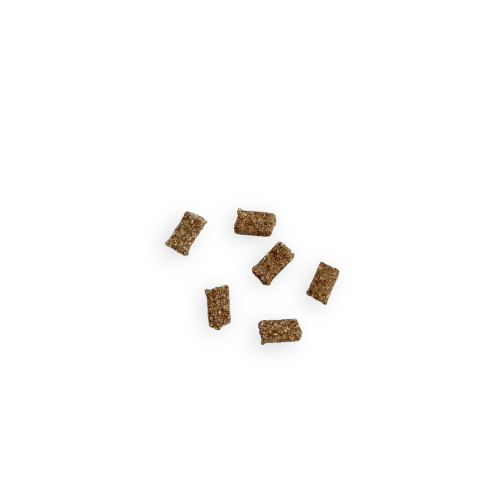 Friandises Education pour Chien - Marly&Dan