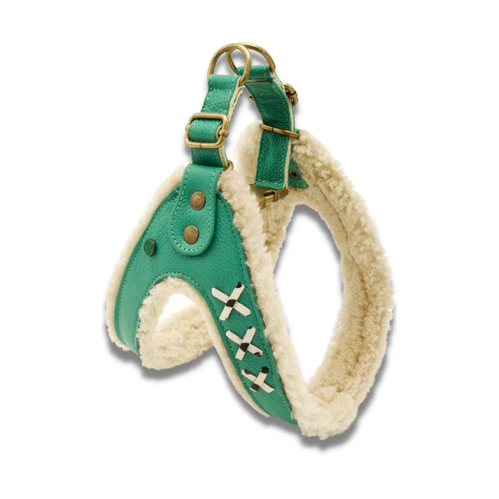 Harnais pour chien Frenkie Turquoise Taille 6 (L) - Dog With a Mission