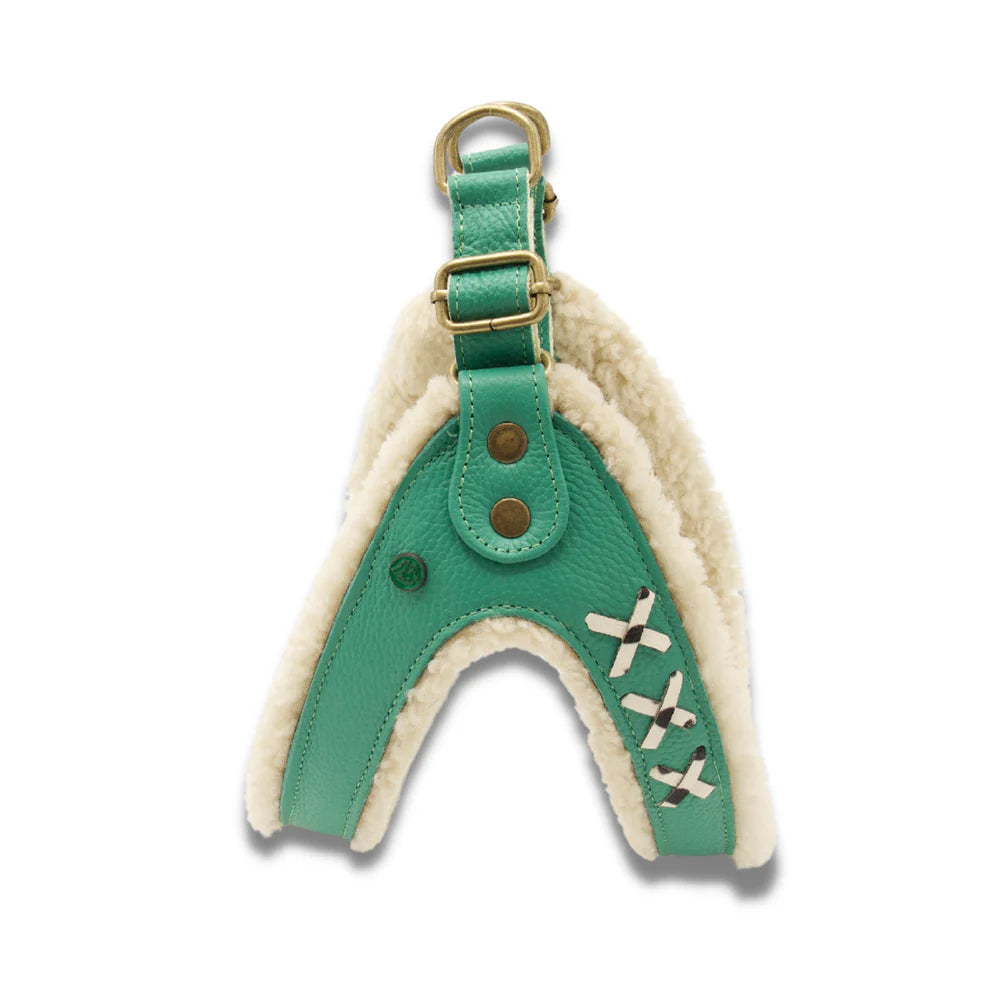 Harnais pour chien Frenkie Turquoise Taille 6 (L) - Dog With a Mission