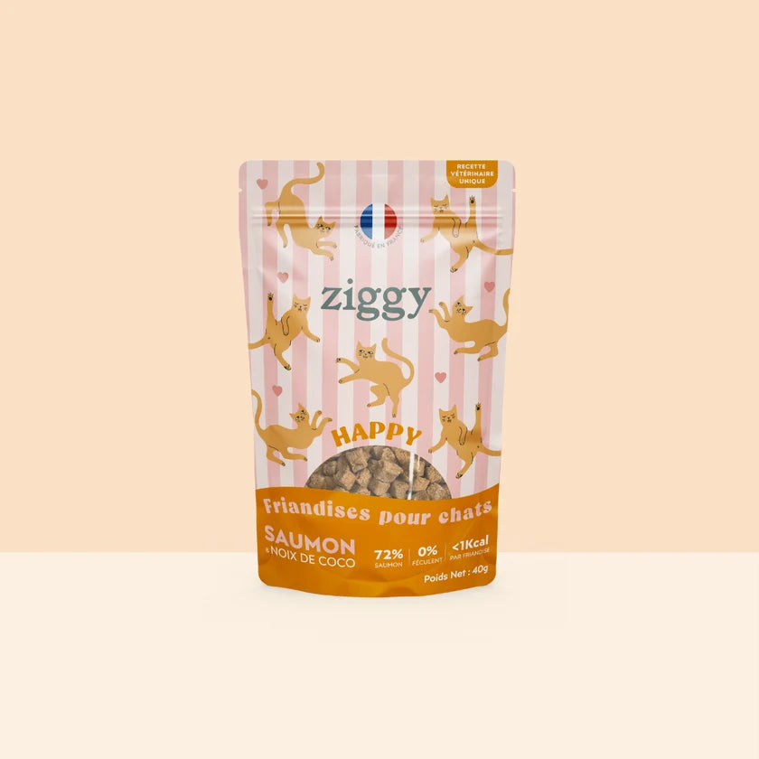 Friandises Happy Chat & Chaton - Ziggy