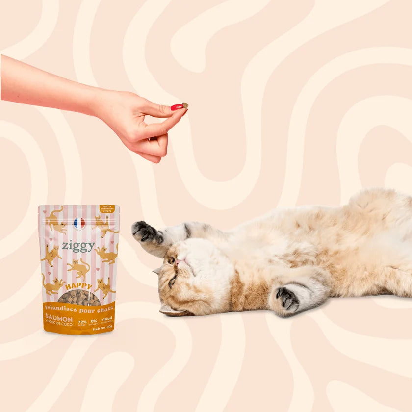 Friandises Happy Chat & Chaton - Ziggy