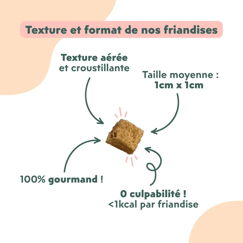 Friandises Happy Chat & Chaton - Ziggy