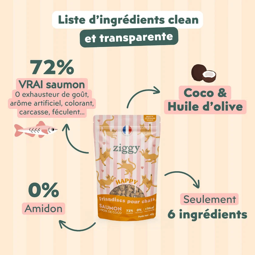 Friandises Happy Chat & Chaton - Ziggy