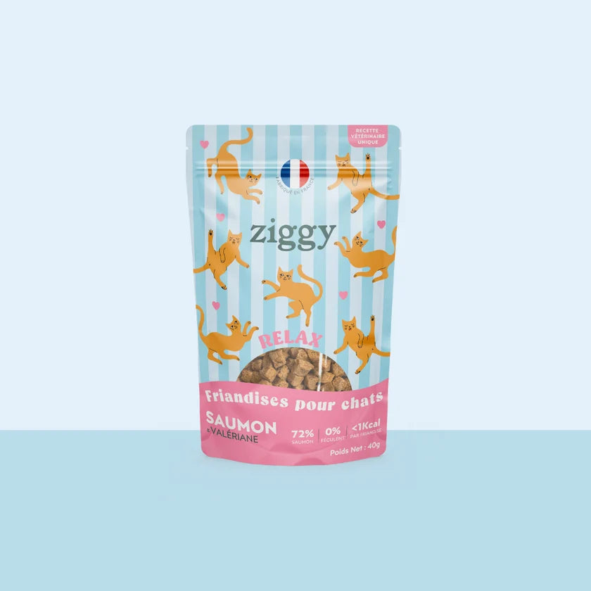 Friandises Relax Chat & Chaton - Ziggy