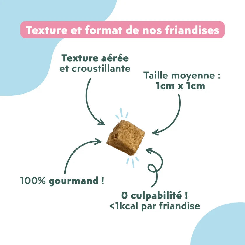 Friandises Relax Chat & Chaton - Ziggy