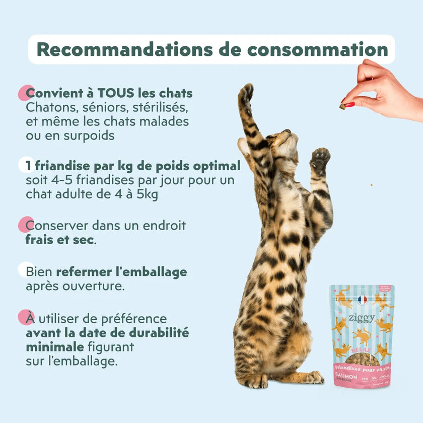 Friandises Relax Chat & Chaton - Ziggy