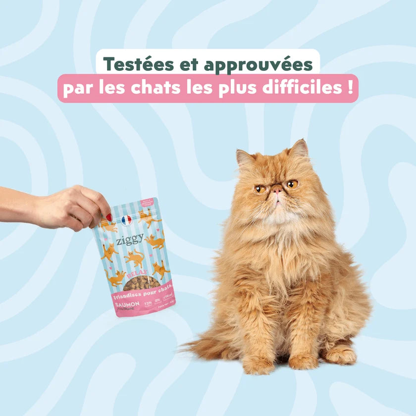Friandises Relax Chat & Chaton - Ziggy
