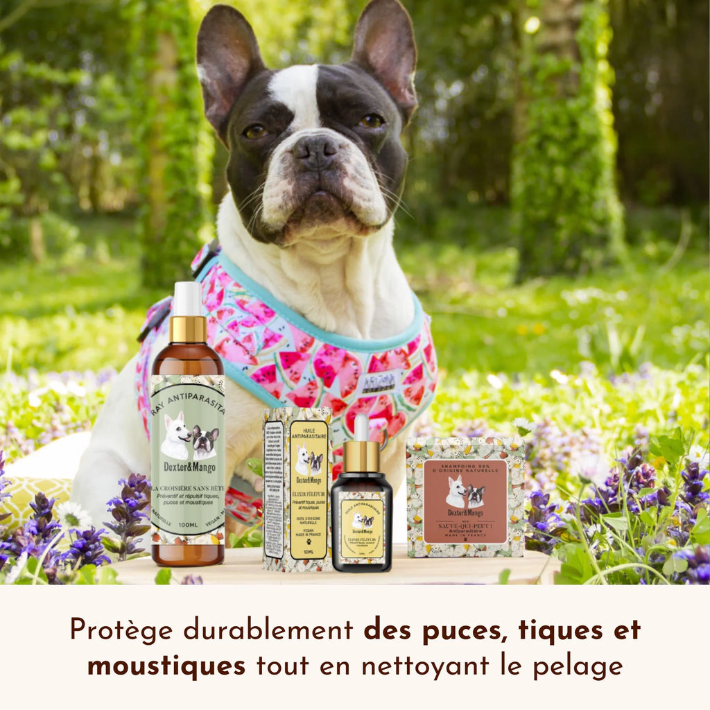 Shampoing solide antiparasitaire - Dexter&Mango