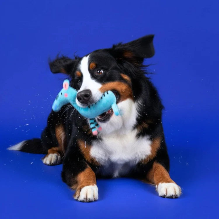 Jouet Peluche Zèbre - Jampy