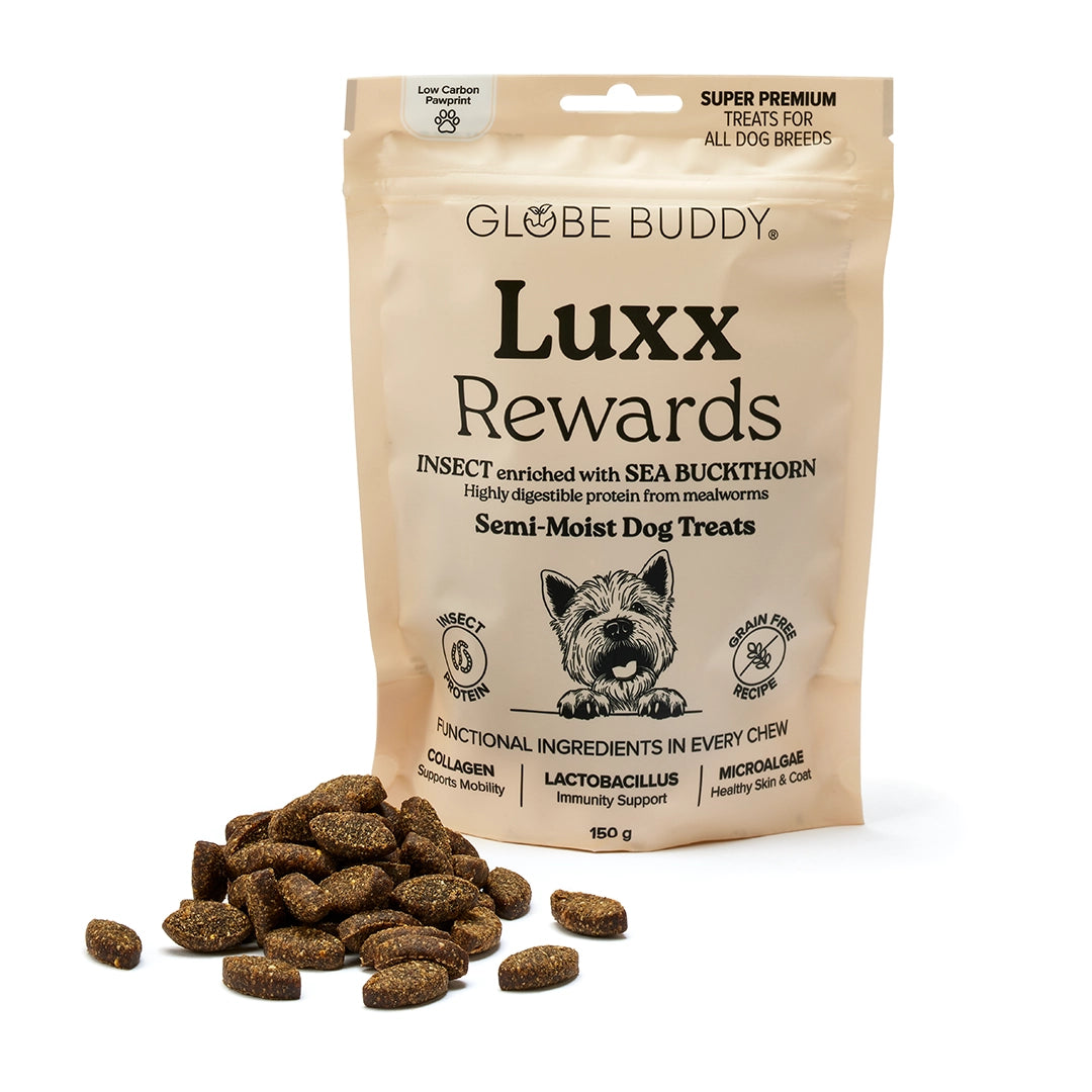 Friandises récompenses 150g - Globe Buddy