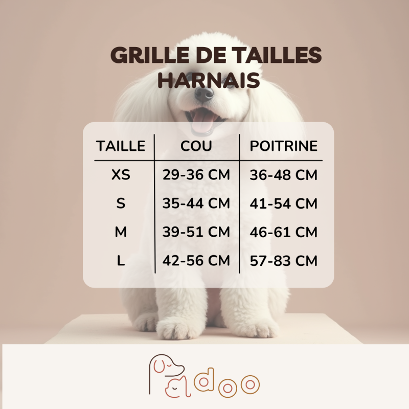 Harnais Tête de Maure - Padoo