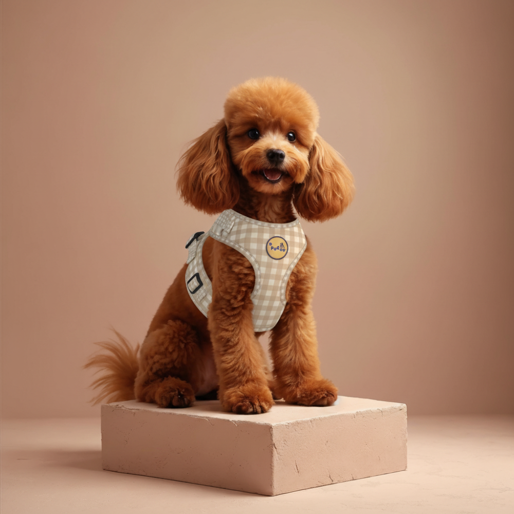 Harnais Vichy blanc et beige - Padoo