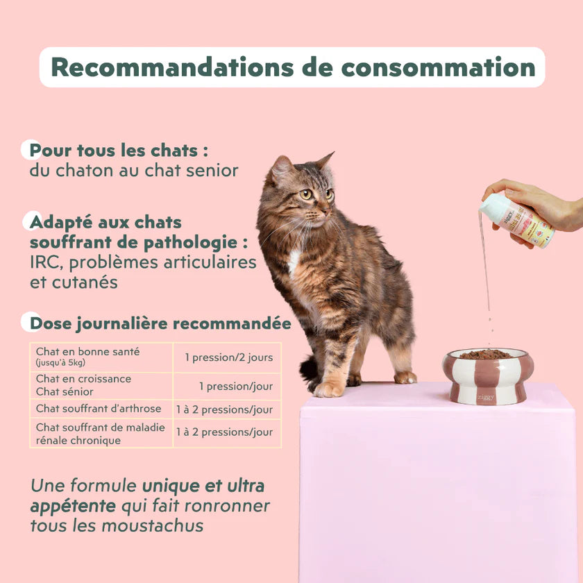 Huile Oméga Boost Chat - Ziggy