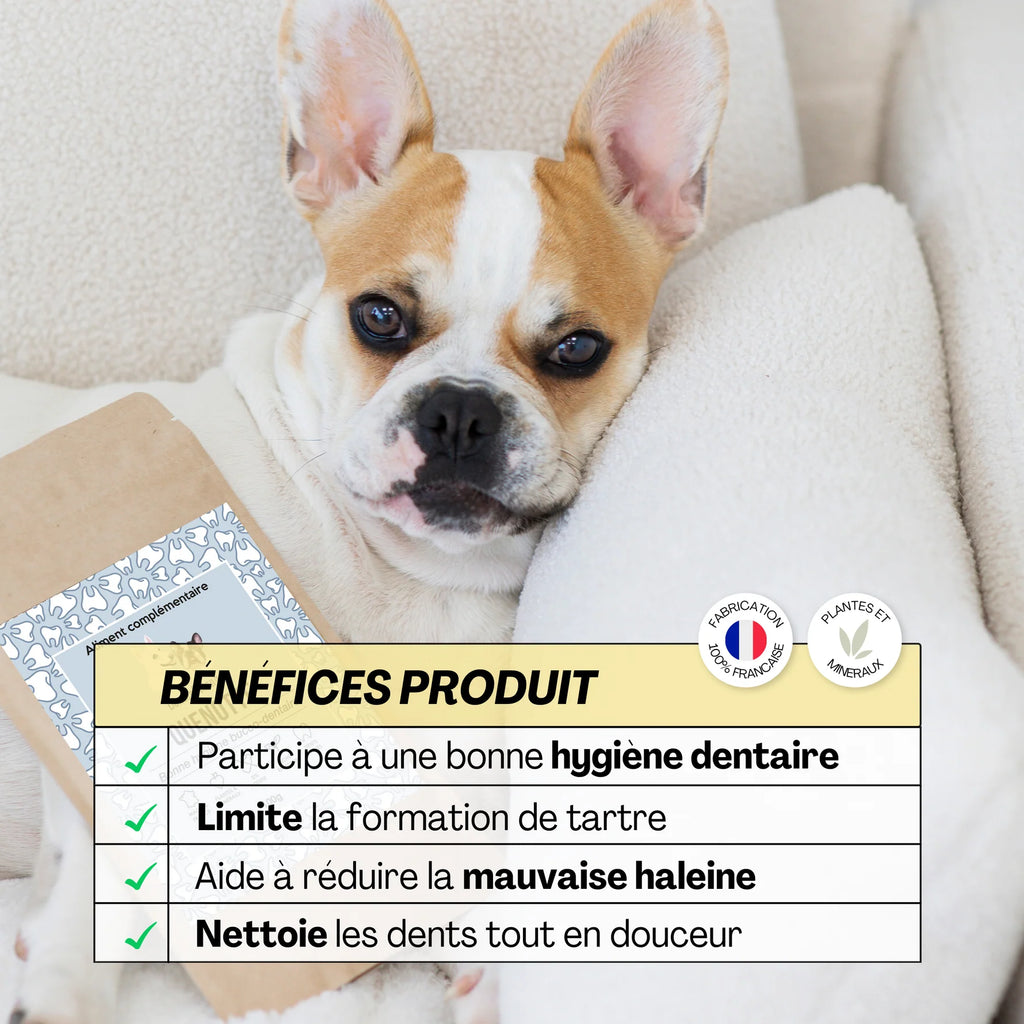 Aliment complémentaire hygiène dentaire - Dexter&Mango