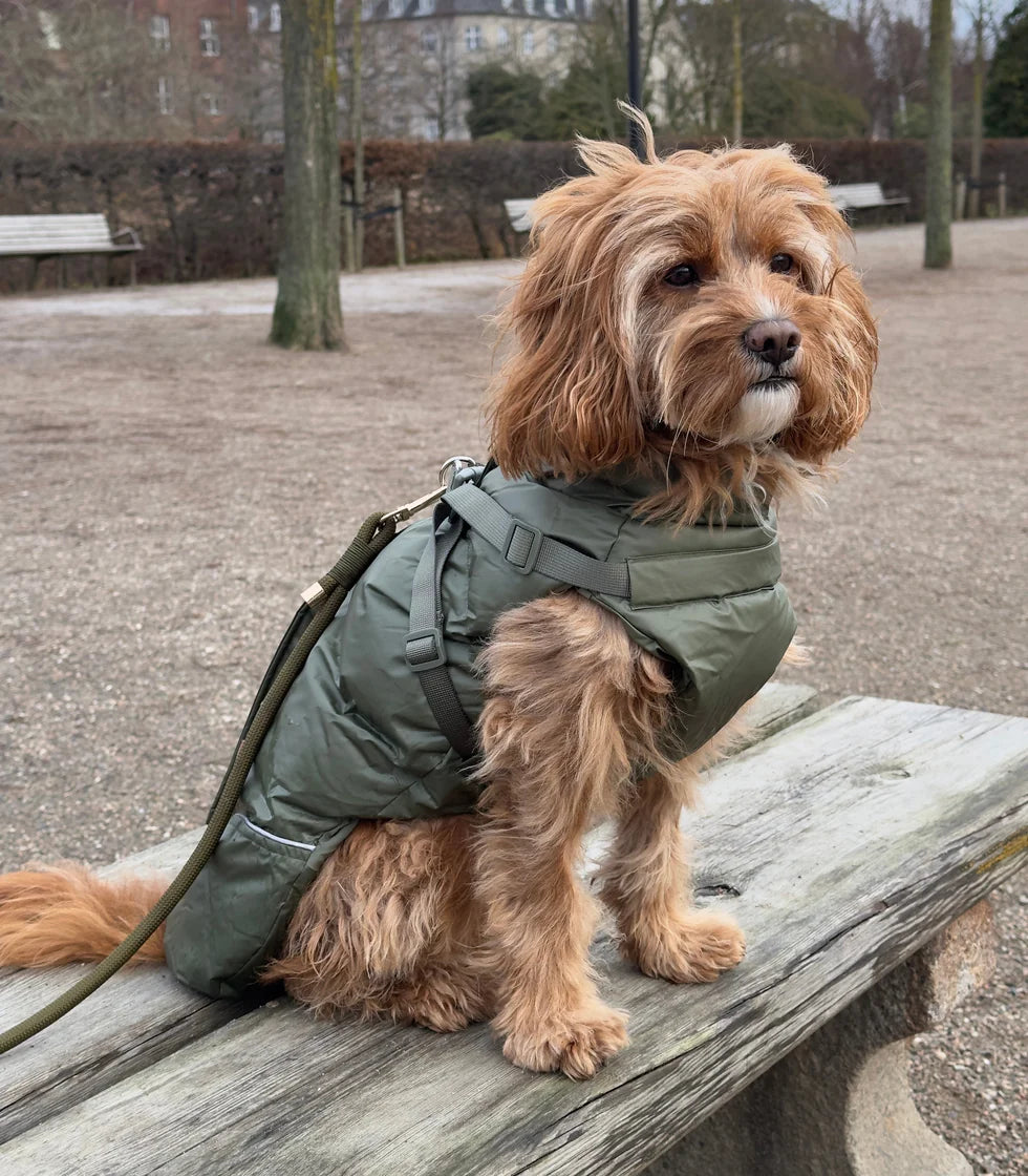Veste d'hiver avec harnais Vert forêt - Puppy Bohème