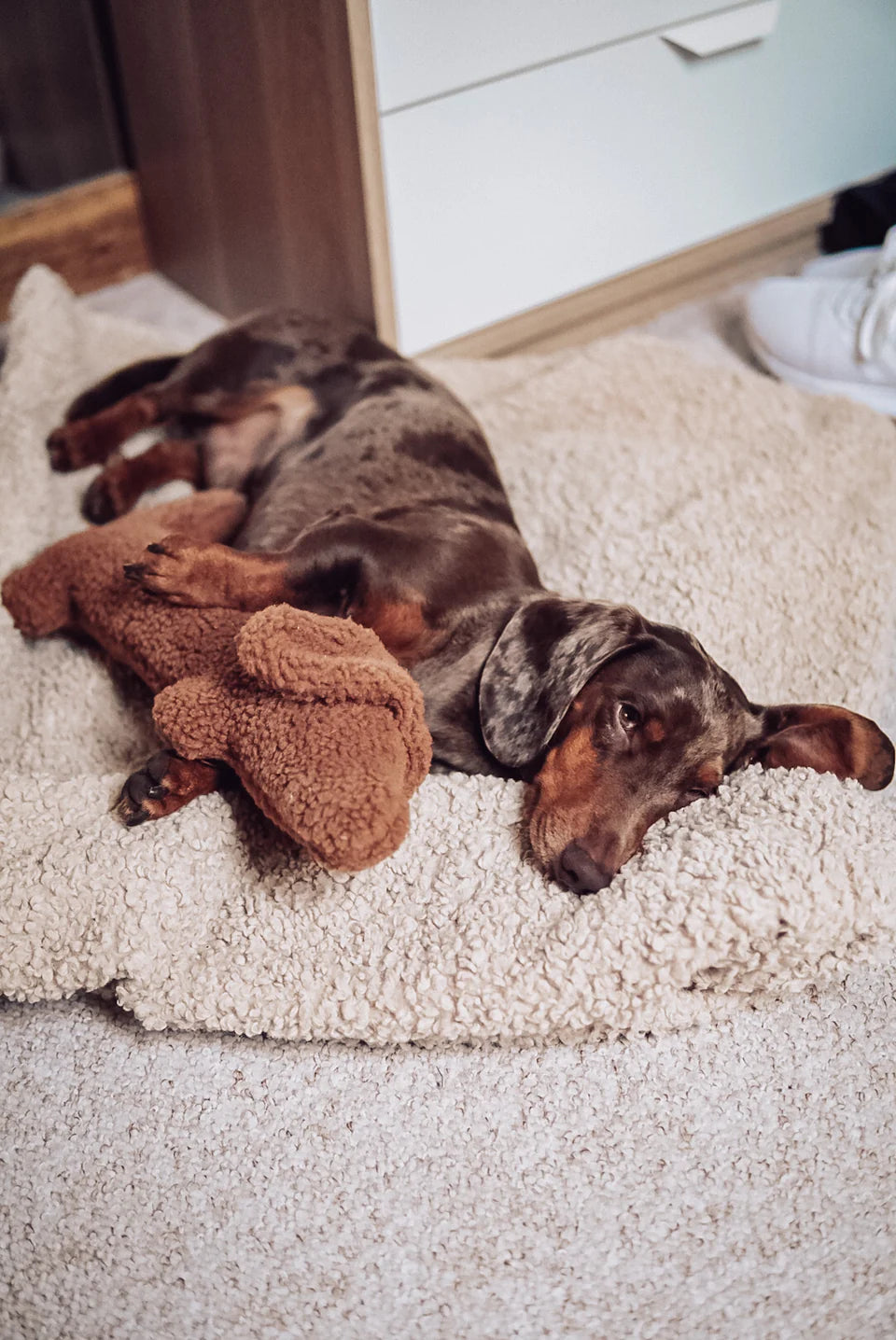 Jouet peluche teckel - Lieblingspfote