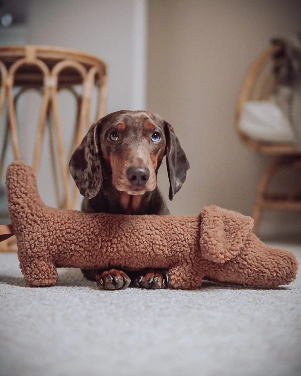 Jouet peluche teckel - Lieblingspfote