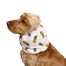 Snood en coton - Distinguish Me